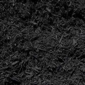 Close-up of rich, dark soil with organic matter.